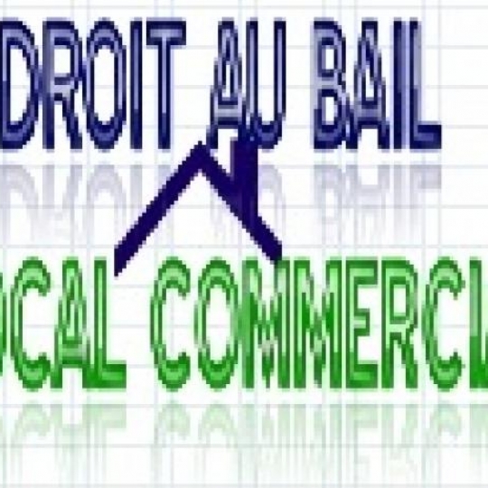  DU COTE IMMO : Commerces | LAVAUR (81500) | 200 m2 | 1 440 € 