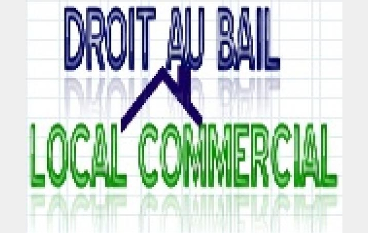 DU COTE IMMO : Commerces | LAVAUR (81500) | 200 m2 | 1 440 € 